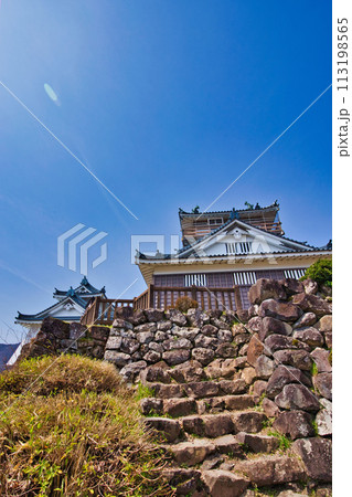 さくらの開花を待つ大野城 さくらの開花を待つ大野城 113198565