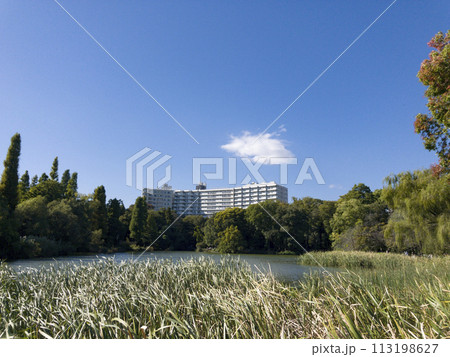 井の頭公園 秋のイメージ 井の頭公園 秋のイメージ 113198627