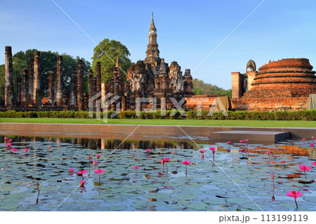 タイ北部の古都スコータイ 世界文化遺産のスコータイ歴史公園内のワットマハタート遺跡と池の水鏡と睡蓮 タイ北部の古都スコータイ 世界文化遺産のスコータイ歴史公園内のワットマハタート遺跡と池の水鏡と睡蓮 113199119