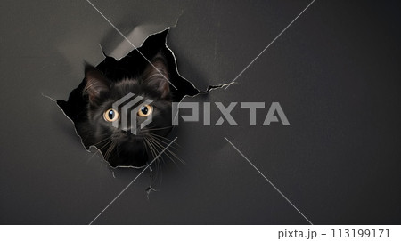 Black upset kitten with peeking out from a torn hole of the black paper background. Copy space, AI Generative 113199171