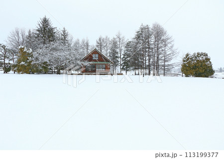 雪景色の安曇野ちひろ公園 雪景色の安曇野ちひろ公園 113199377
