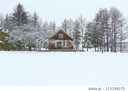 雪景色の安曇野ちひろ公園 113199378