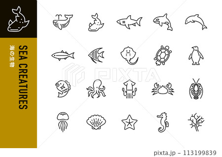 海の生物の線画アイコン20点セット 海の生物の線画アイコン20点セット 113199839