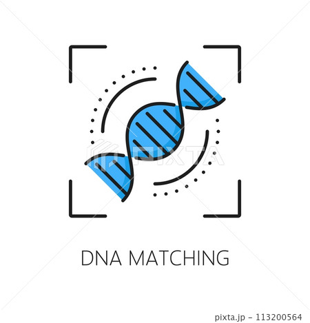 Dna matching biometric identification, recognition or verification icon features intertwined double helix strands, symbolizing genetic connection. Vector linear sign represents genetic identity Dna matching biometric identification, recognition or verification icon features intertwined double helix strands, symbolizing genetic connection. Vector linear sign represents genetic identity 113200564
