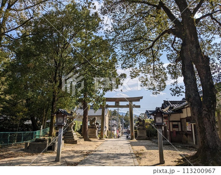 若宮社・大直禰子神社  113200967