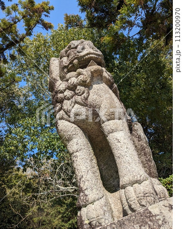 若宮社・大直禰子神社 の狛犬 若宮社・大直禰子神社 の狛犬 113200970