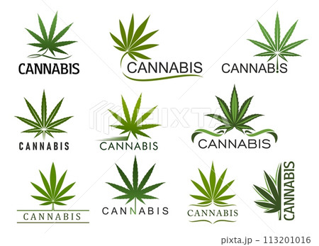 Cannabis marijuana leaf icons. Vector medical canabis, hemp or weed plant green leaves isolated labels set of organic herbal drugs, cbd oil and recreational cannabis smoking blend packages Cannabis marijuana leaf icons. Vector medical canabis, hemp or weed plant green leaves isolated labels set of organic herbal drugs, cbd oil and recreational cannabis smoking blend packages 113201016
