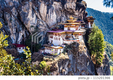 Taktshang Goemba, Tiger's Nest Monastery in Bhutan, View from afar. 113201366