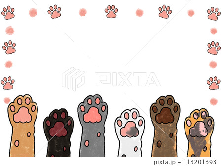 横に並んだいろんな柄の猫が自身をもって手を挙げる、肉球の四角いフレーム 113201393