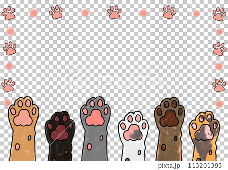 横に並んだいろんな柄の猫が自身をもって手を挙げる、肉球の四角いフレーム 113201393