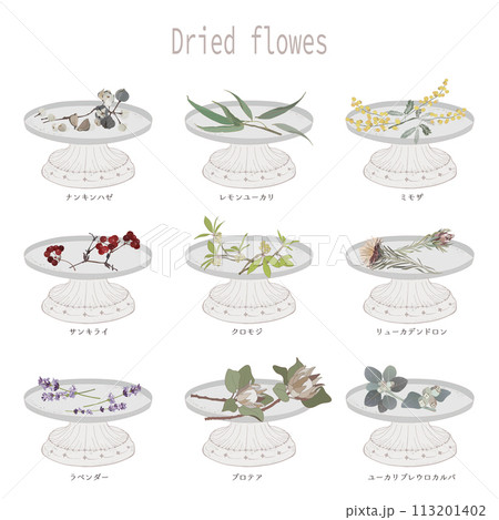 ドライフラワー・サンキライ・ナンキンハゼ・リューカデンドロン・ユーカリ・ミモザ・プロテア ドライフラワー・サンキライ・ナンキンハゼ・リューカデンドロン・ユーカリ・ミモザ・プロテア 113201402