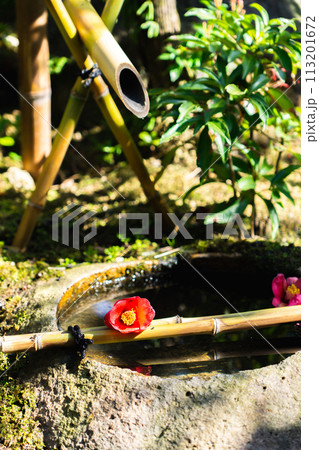 京都府八幡市八幡女郎花の市立松花堂庭園　茶室　草庵松花堂の手水鉢 113201672