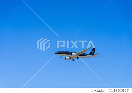 《飛行機》エアバス　Airbus A320neo Family > A320neo 113201997