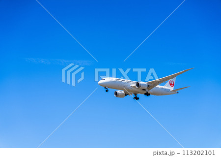 《飛行機》ボーイング Boeing 787 > 787-8 Dreamliner 113202101