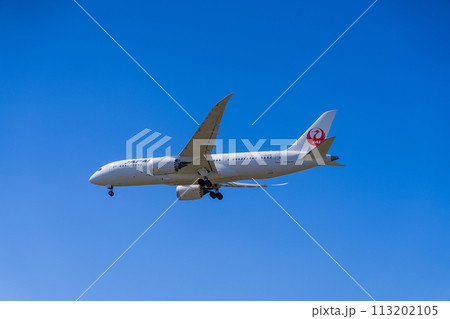 《飛行機》ボーイング Boeing 787 > 787-8 Dreamliner 《飛行機》ボーイング Boeing 787 > 787-8 Dreamliner 113202105