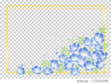 粉蝶框架 1 113202346