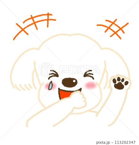 爆笑する表情のマルチーズのイラスト 爆笑する表情のマルチーズのイラスト 113202347