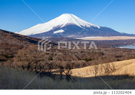 三国峠から眺める冬の富士山　山梨県山中湖村パノラマ台の上にて 113202404
