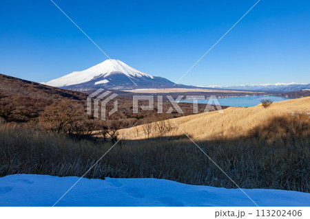三国峠から眺める冬の富士山 山梨県山中湖村パノラマ台の上にて 三国峠から眺める冬の富士山 山梨県山中湖村パノラマ台の上にて 113202406