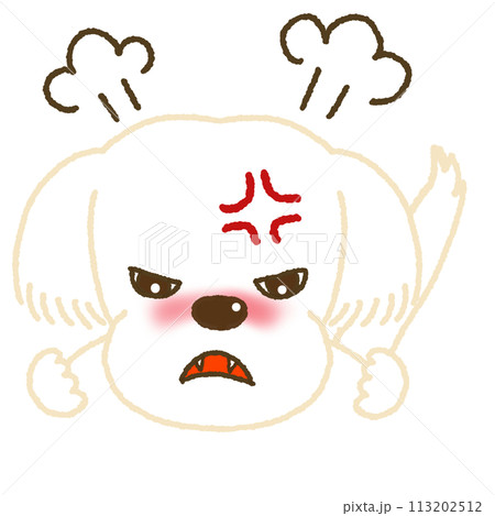 怒っている表情のマルチーズのイラスト 113202512