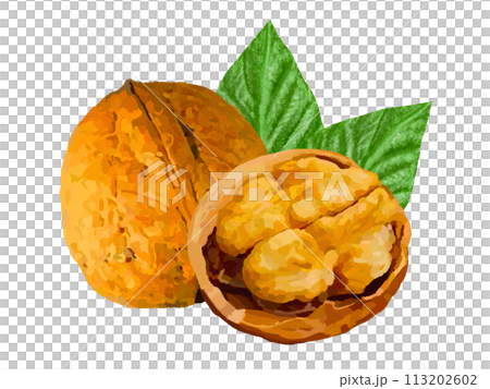 Walnuts (with shell and leaves) Walnuts (with shell and leaves) 113202602