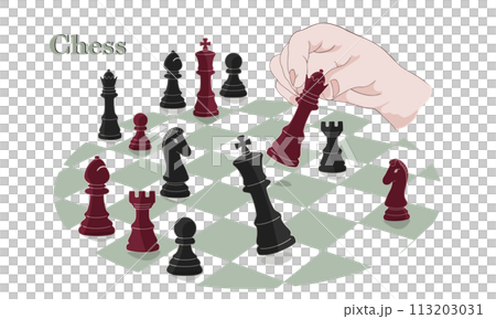 Chess, chess pieces, chess board, checkmate 113203031