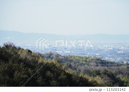 高台から見た春の風景　 113203142