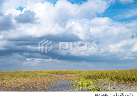 Cloudy skies above the open Florida Everglades grasslands Cloudy skies above the open Florida Everglades grasslands 113203179