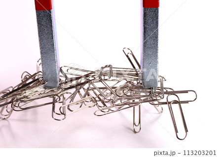 磁石にくっ付くクリップ  磁石にくっ付くクリップ  113203201