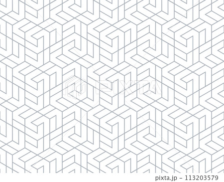 Abstract geometric pattern. A seamless vector background. White and gray ornament. Graphic modern pattern. Simple lattice graphic design 113203579