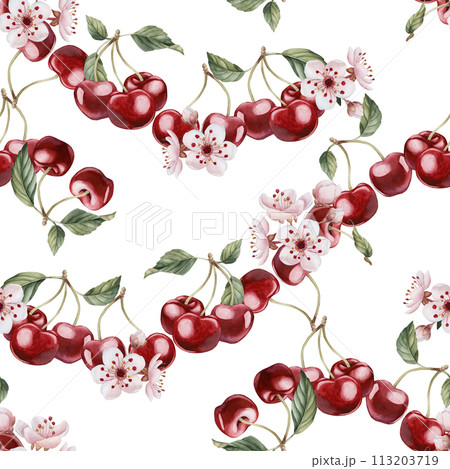 Cherry berries with flowers and leaves, watercolor floral seamless pattern on white background with spring blossom for table textile, porcelain tableware and delicious prints. Berry fruits for summer Cherry berries with flowers and leaves, watercolor floral seamless pattern on white background with spring blossom for table textile, porcelain tableware and delicious prints. Berry fruits for summer 113203719