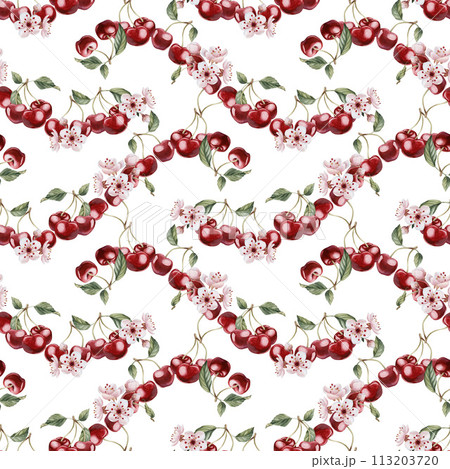 Cherry berries with flowers and leaves, watercolor floral seamless pattern on white background with spring blossom for table textile, porcelain tableware and delicious prints. Berry fruits for summer  113203720