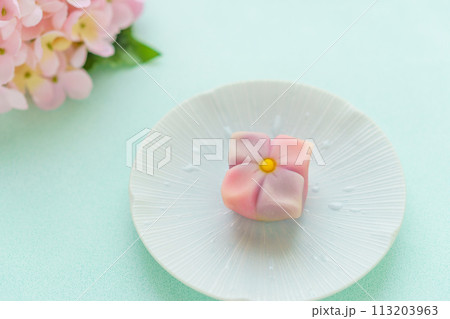 季節の和菓子「紫陽花」 季節の和菓子「紫陽花」 113203963