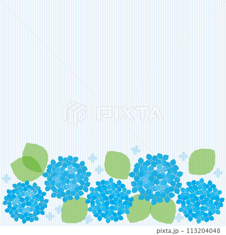 紫陽花　ストライプ　フレーム　ブルー 113204048