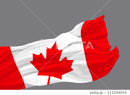 Canada flag waving in the wind isolated on grey background 3D render 113204054