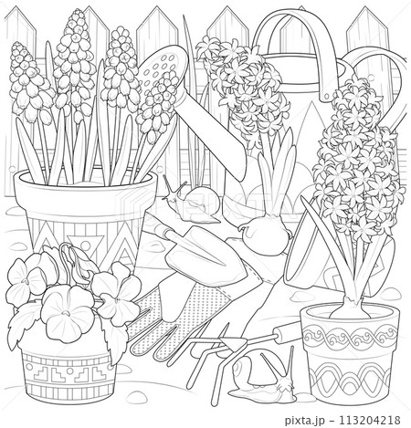 Planting flowers in the garden. Flowers in the garden and snails. 113204218