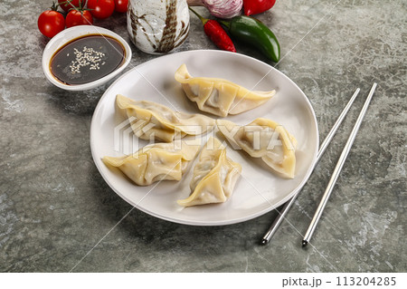 Japanese cuisine - dumplings gyoza with sauce Japanese cuisine - dumplings gyoza with sauce 113204285