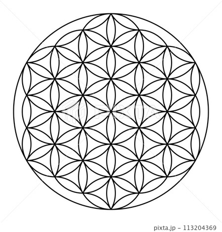 Sacred geometry vector design element. Sacred geometry vector design element. 113204369