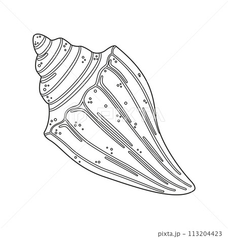 Seashell. Black and white outline. Art therapy Coloring page Seashell. Black and white outline. Art therapy Coloring page 113204423