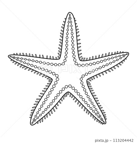 Starfish Black and white. Art therapy Coloring page Starfish Black and white. Art therapy Coloring page 113204442
