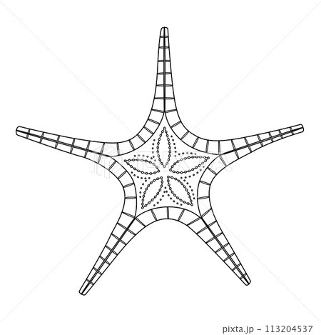 Starfish Black and white. Art therapy Coloring page Starfish Black and white. Art therapy Coloring page 113204537