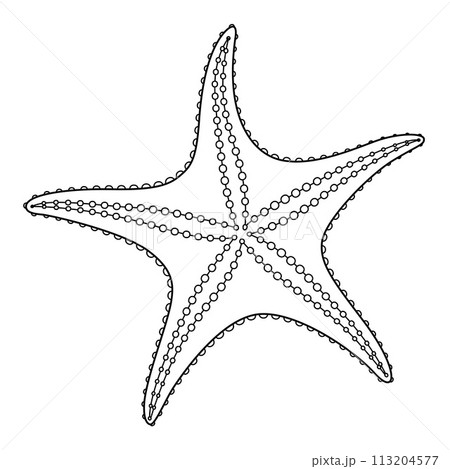 Starfish Black and white. Art therapy Coloring page 113204577