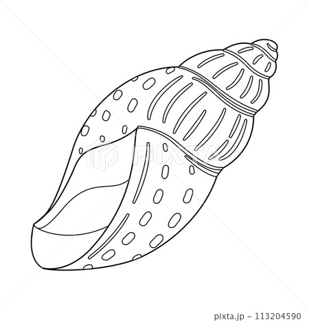 Seashell. Black and white outline. Art therapy Coloring page 113204590