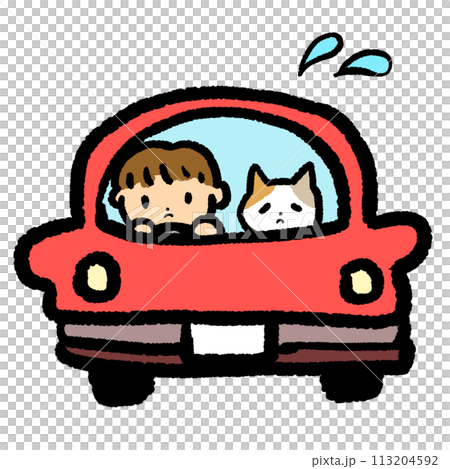 ネコを乗せて急いでいるイラスト 113204592