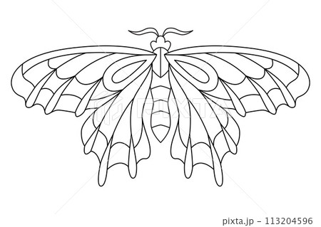 Butterfly black white isolated sketch illustration. Coloring page for kids and adults. Butterfly black white isolated sketch illustration. Coloring page for kids and adults. 113204596