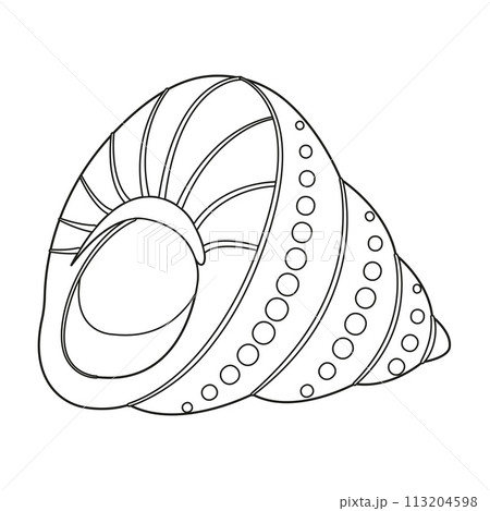 Seashell. Black and white outline. Art therapy Coloring page Seashell. Black and white outline. Art therapy Coloring page 113204598
