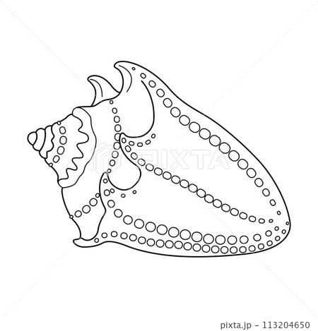Seashell. Black and white outline. Art therapy Coloring page 113204650