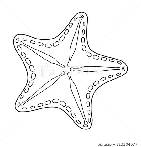 Starfish Black and white. Art therapy Coloring page Starfish Black and white. Art therapy Coloring page 113204677