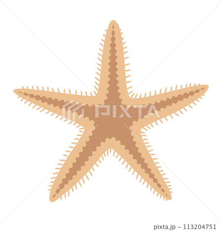 Dried starfish. Starfish flat icon. Sea animal cartoon style. Echinoderm.  113204751