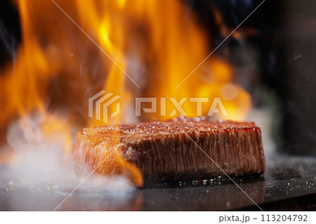 シャトーブリアン　焼肉 113204792